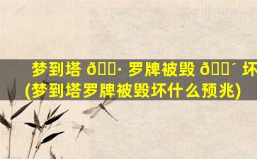 梦到塔 🌷 罗牌被毁 🌴 坏(梦到塔罗牌被毁坏什么预兆)